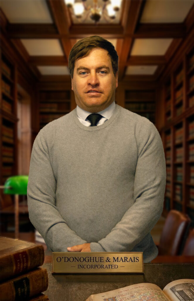 Professional corporate lawyer sitting in the legal library at O'Donoghue & Marais Incorporated, a leading law firm in Springs